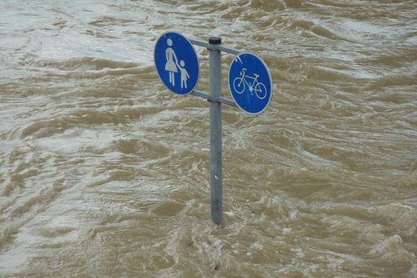 Business insurance