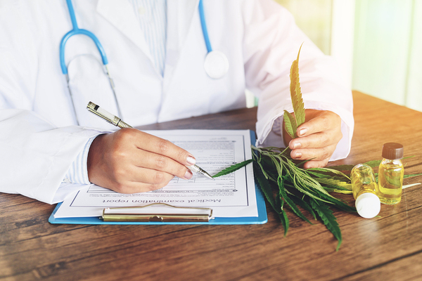 Medical doctor filling out a document while holding a plant.